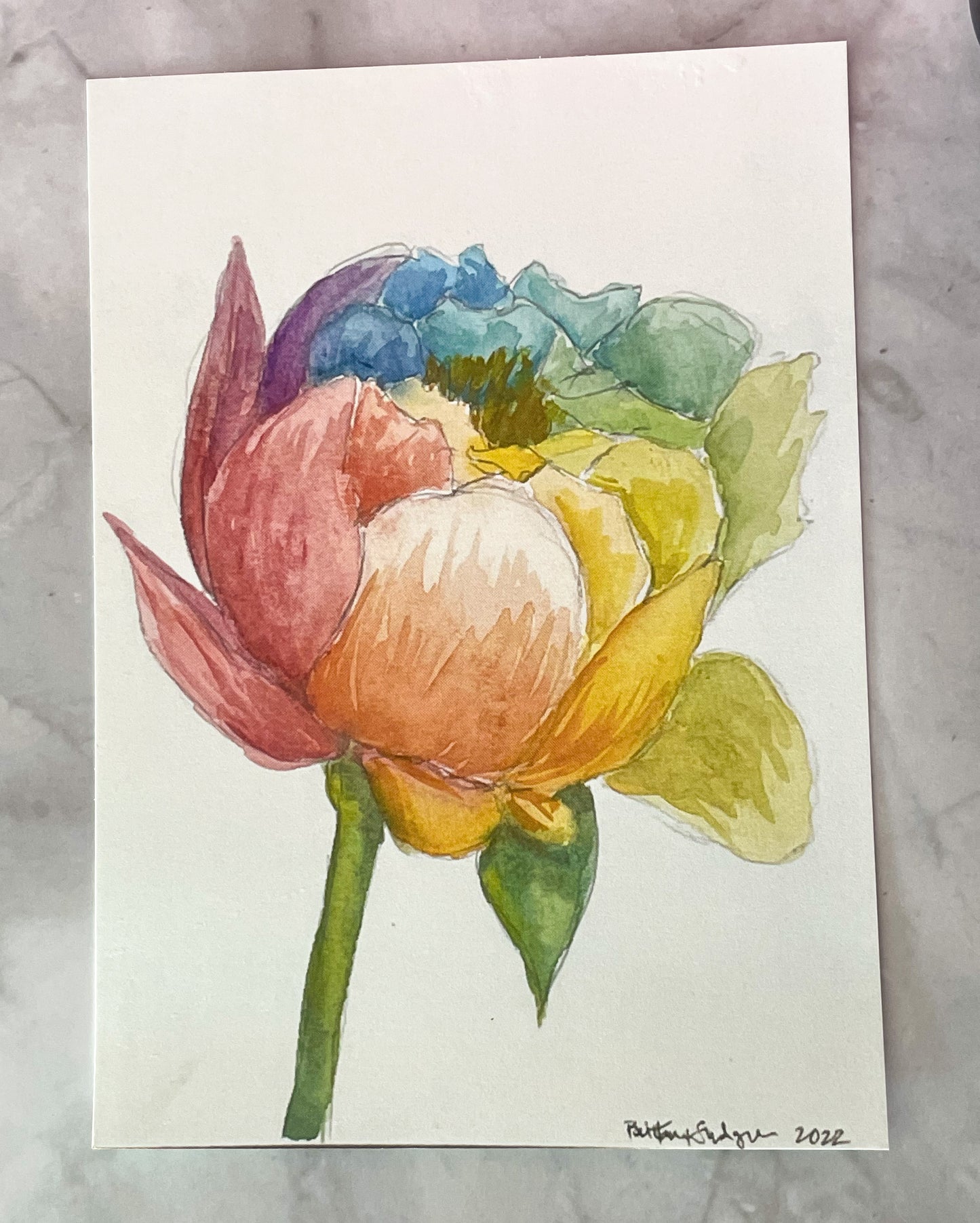 Rainbow Flower Watercolor Cards