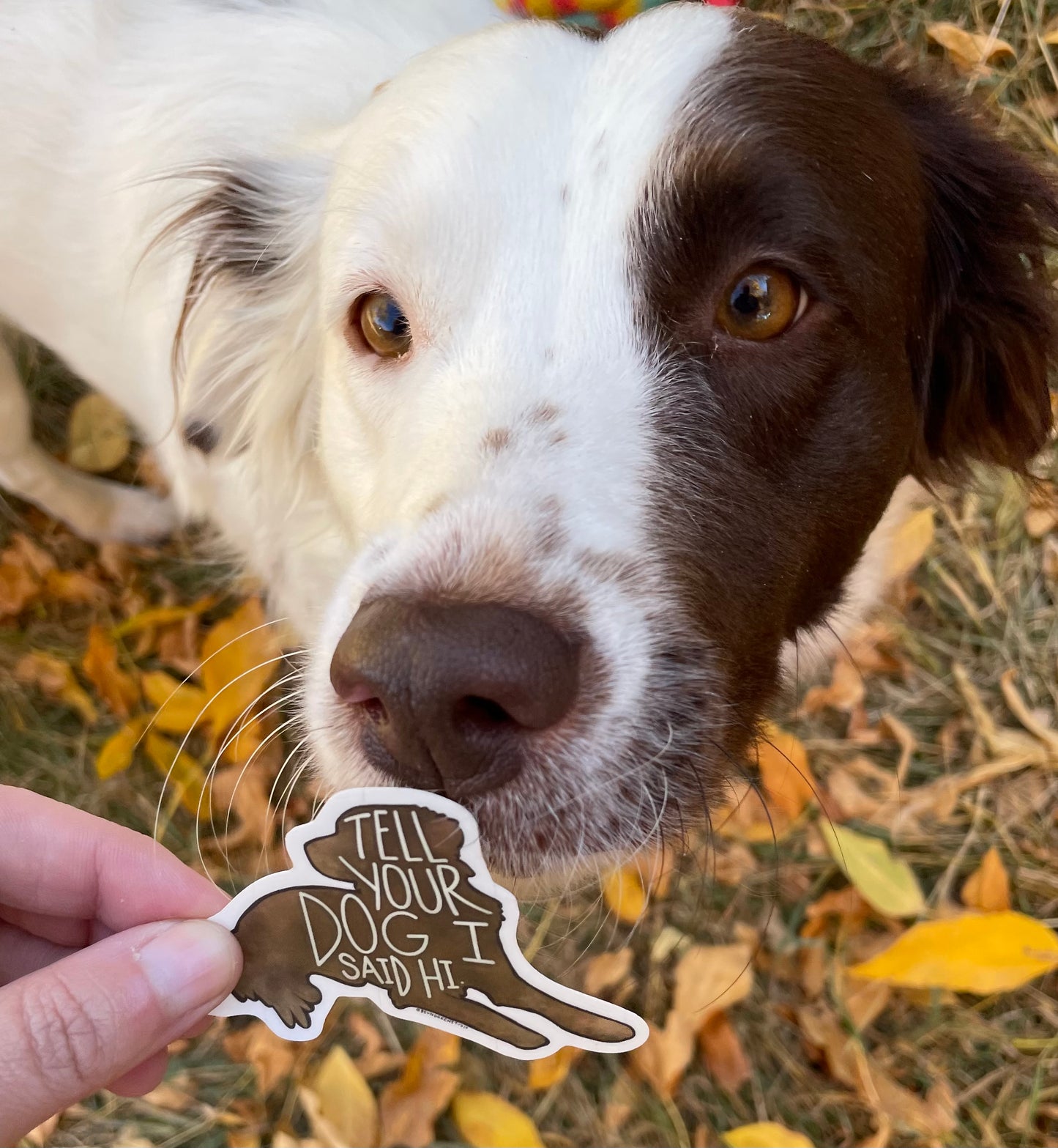 Tell Your Dog I Said Hi Sticker