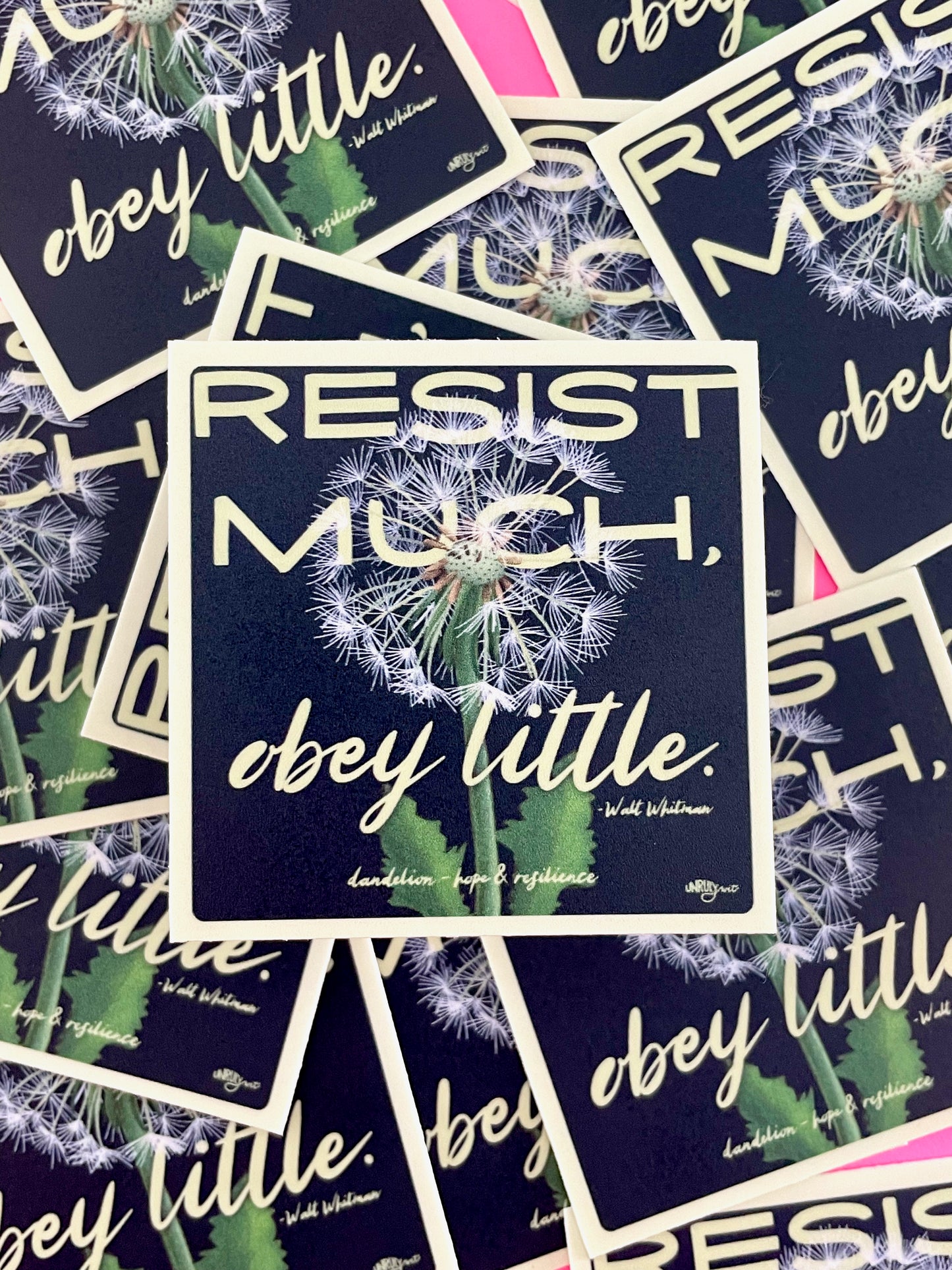 Resist Much, Obey Little - A Beautiful Resistance Sticker