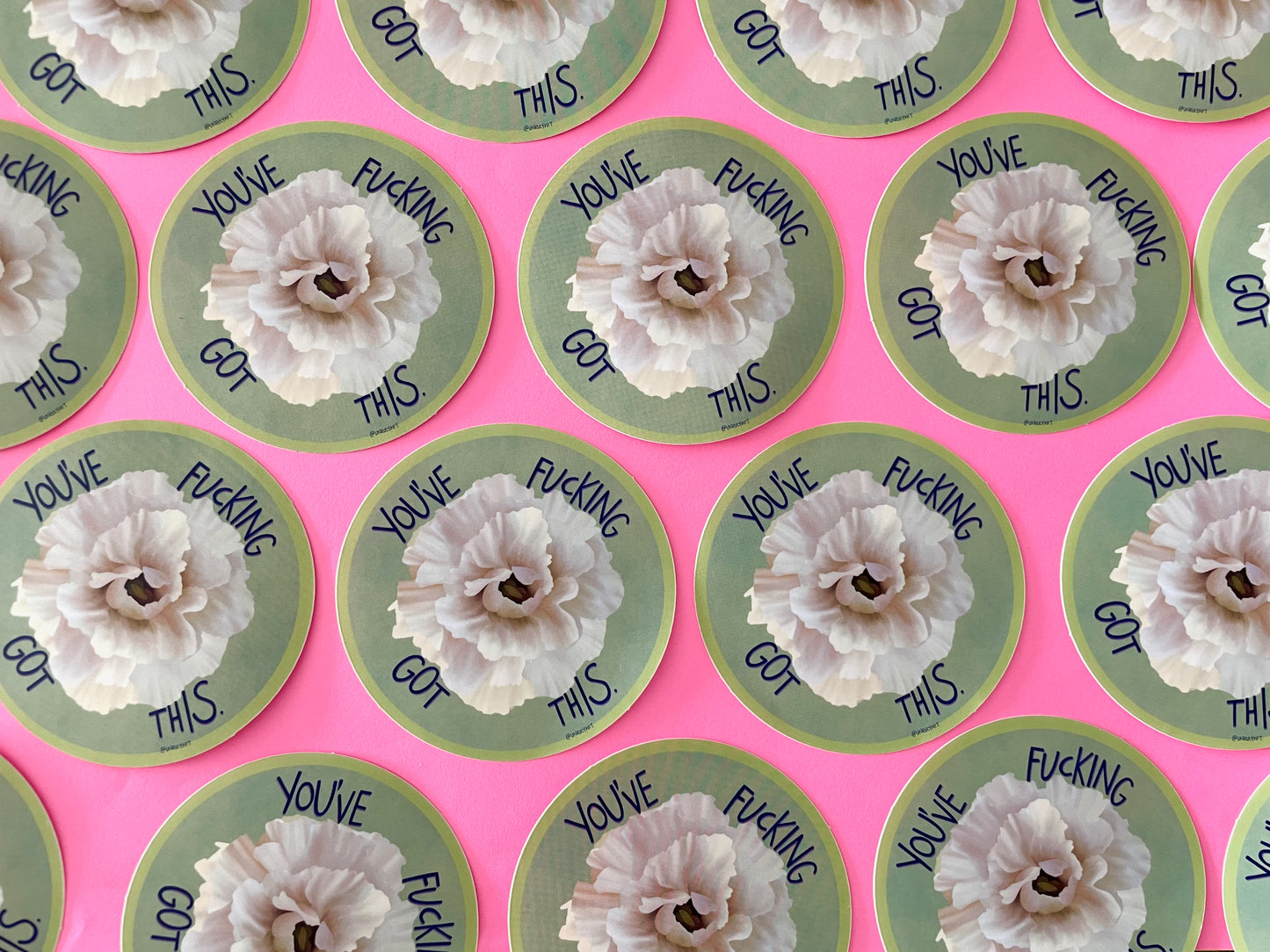 You’ve Fucking Got This Vinyl Sticker