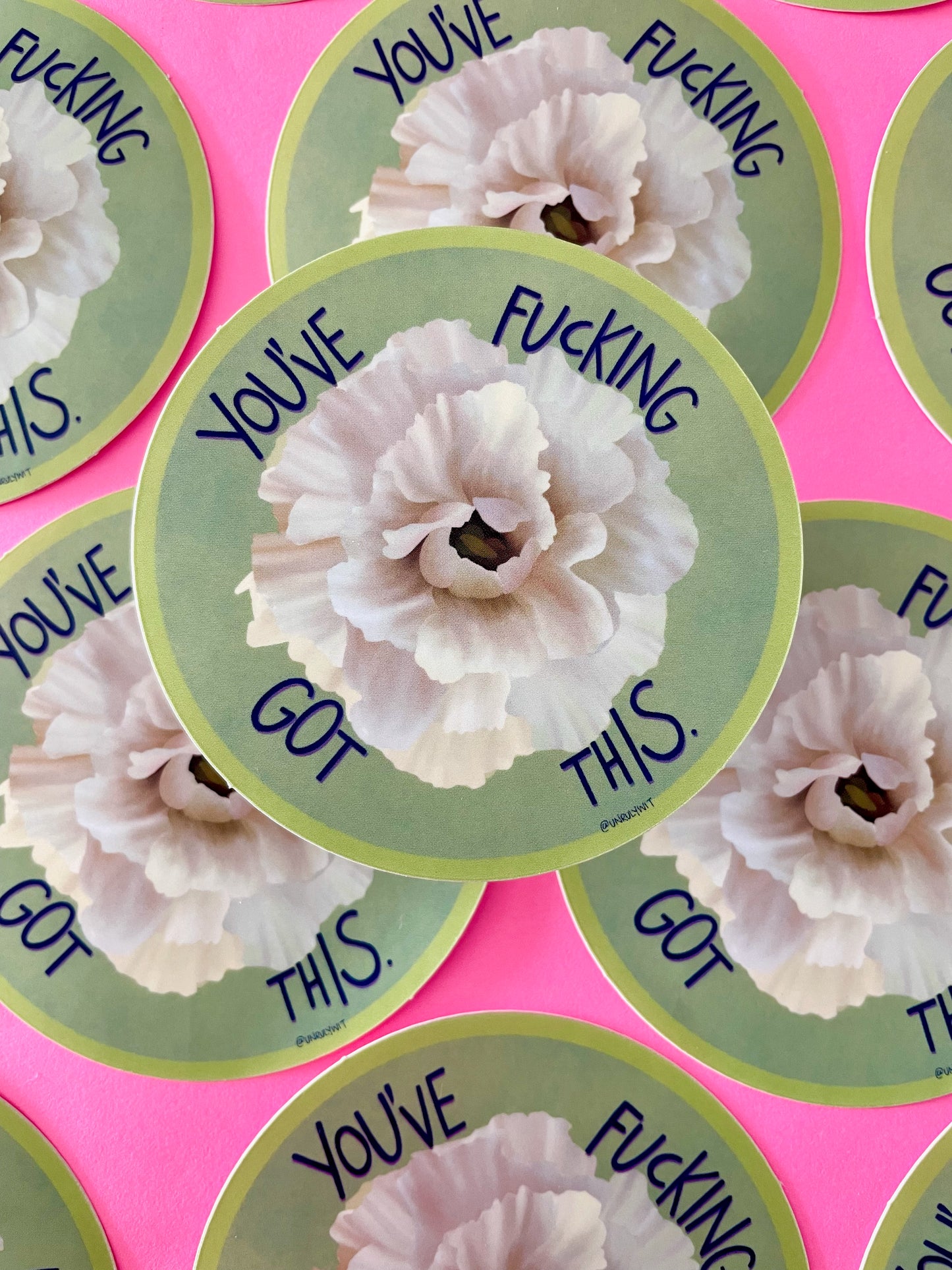 You’ve Fucking Got This Vinyl Sticker