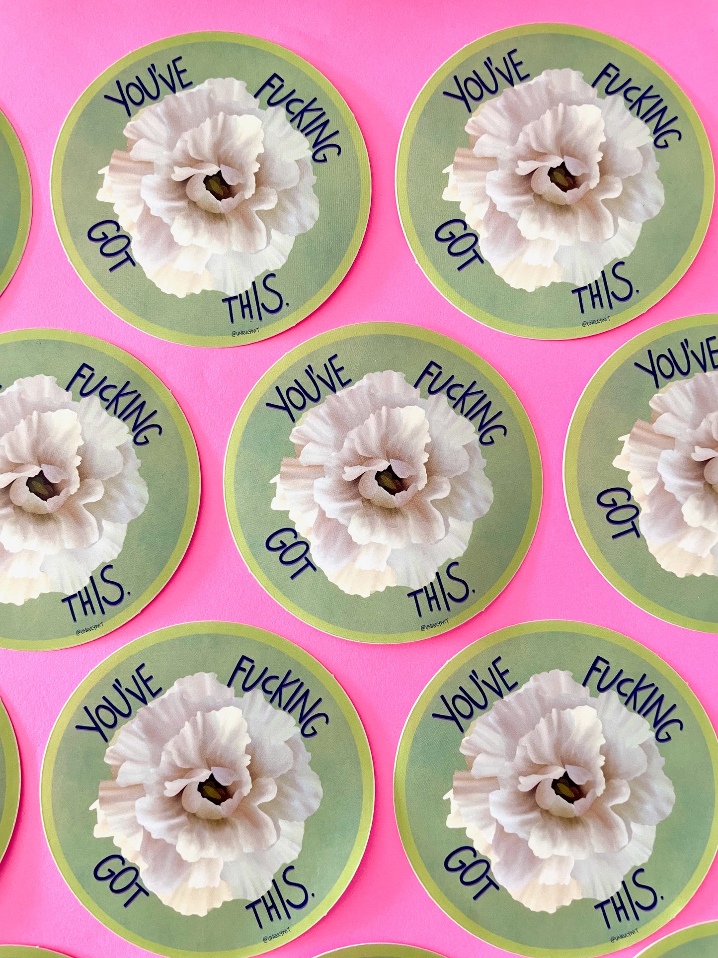 You’ve Fucking Got This Vinyl Sticker