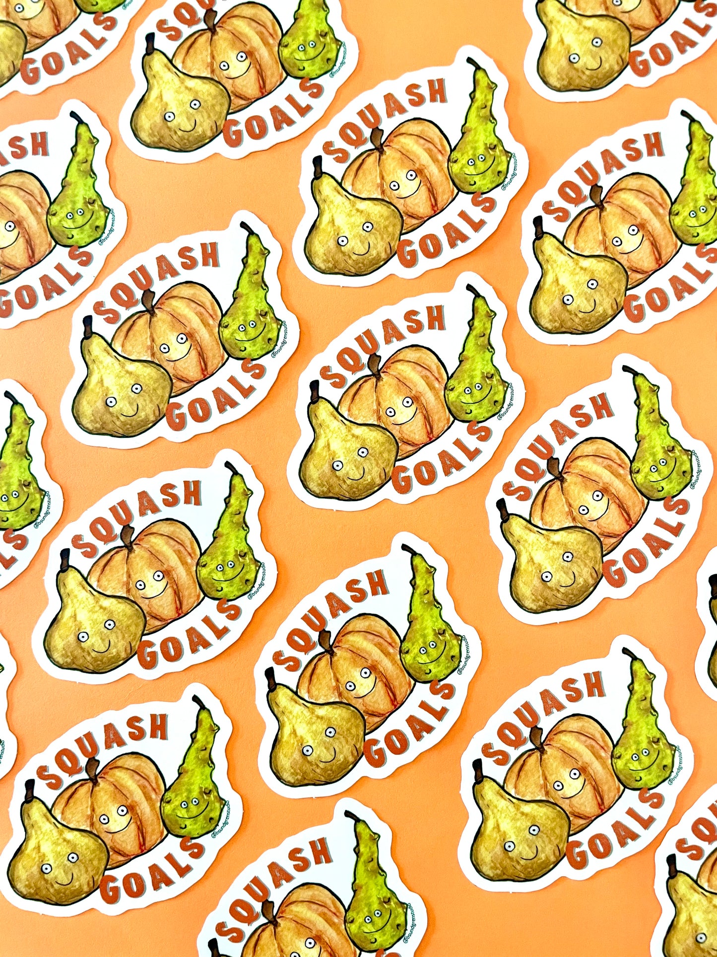 Squash Goals Sticker