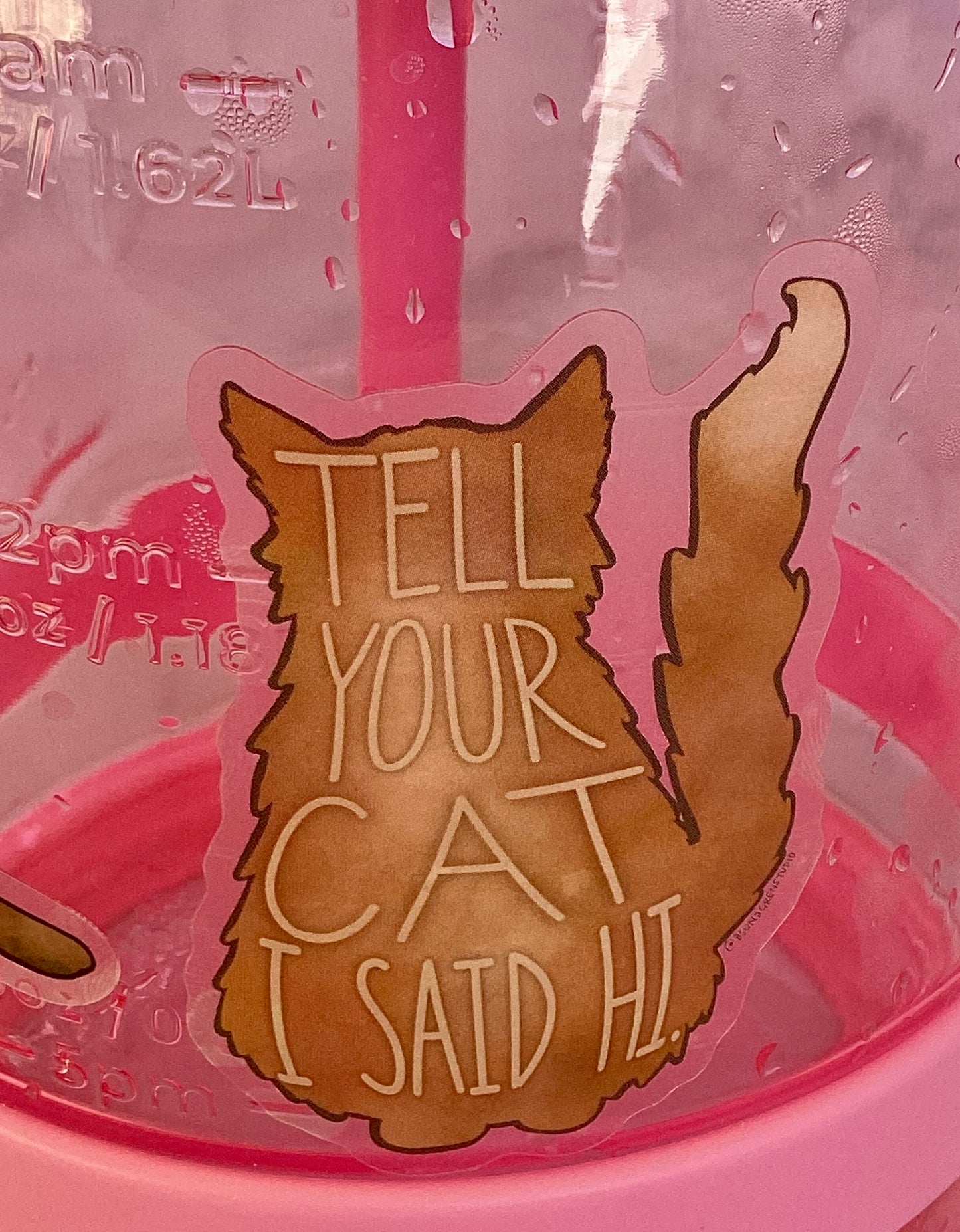 Tell Your Cat I Said Hi Sticker