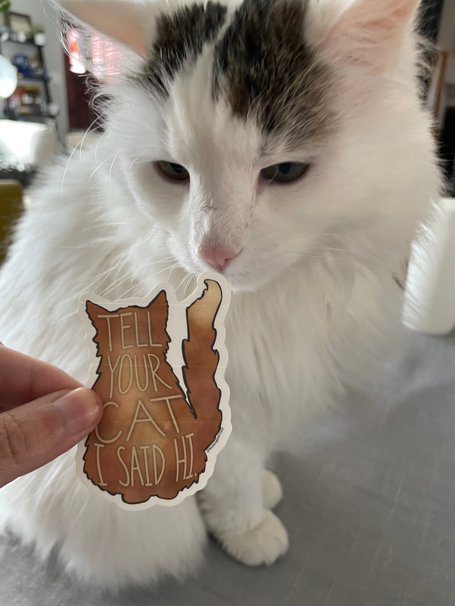 Tell Your Cat I Said Hi Sticker